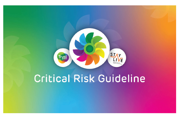 critical risk guideline